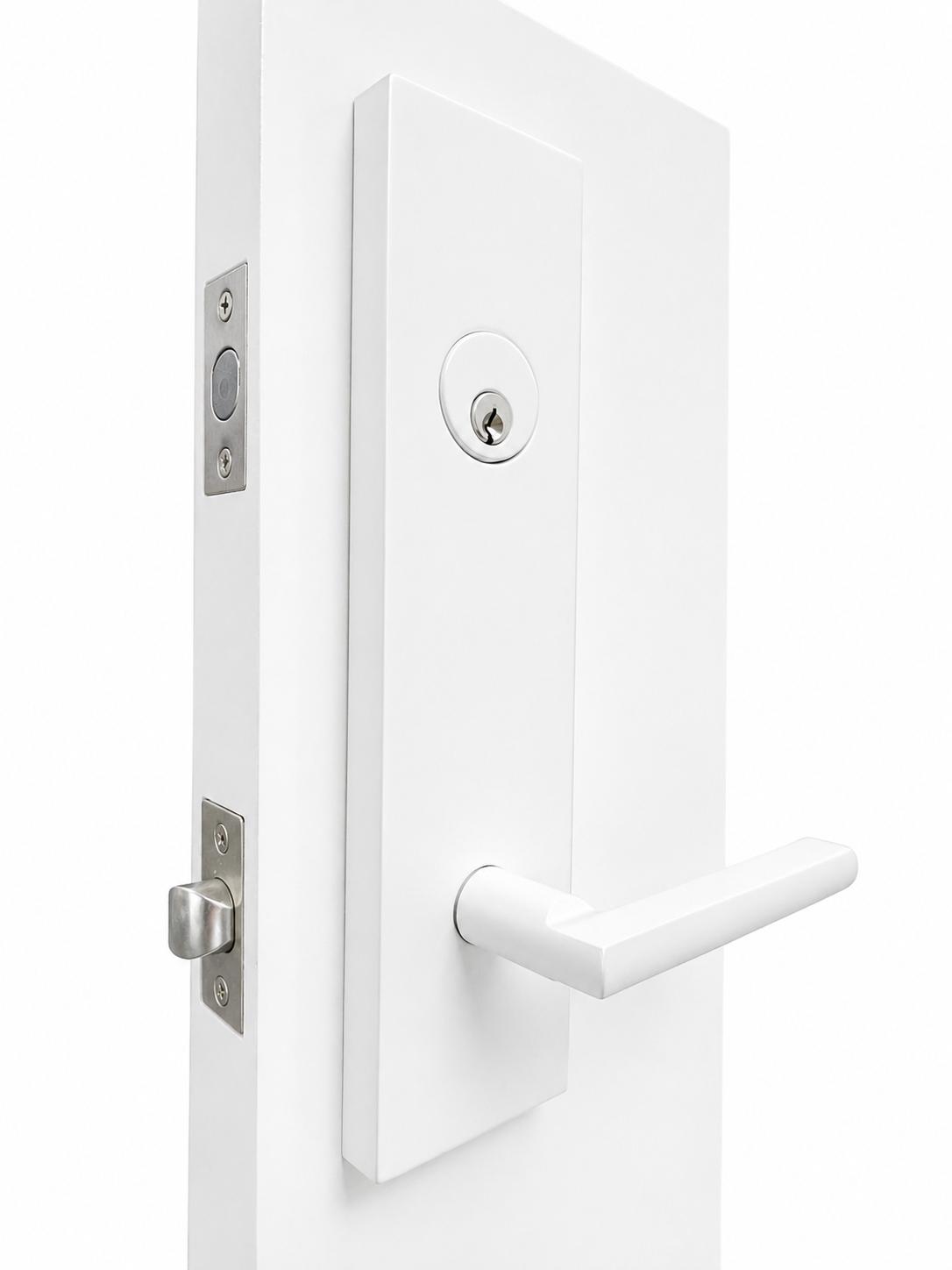 ENTRY DOOR HANDLES - MATT WHITE