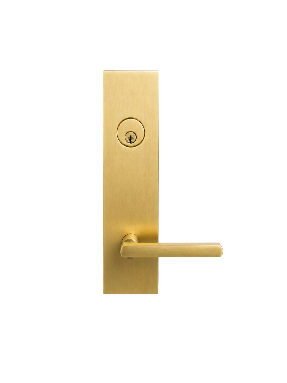 ENTRY DOOR HANDLES - BRUSHED BRASS