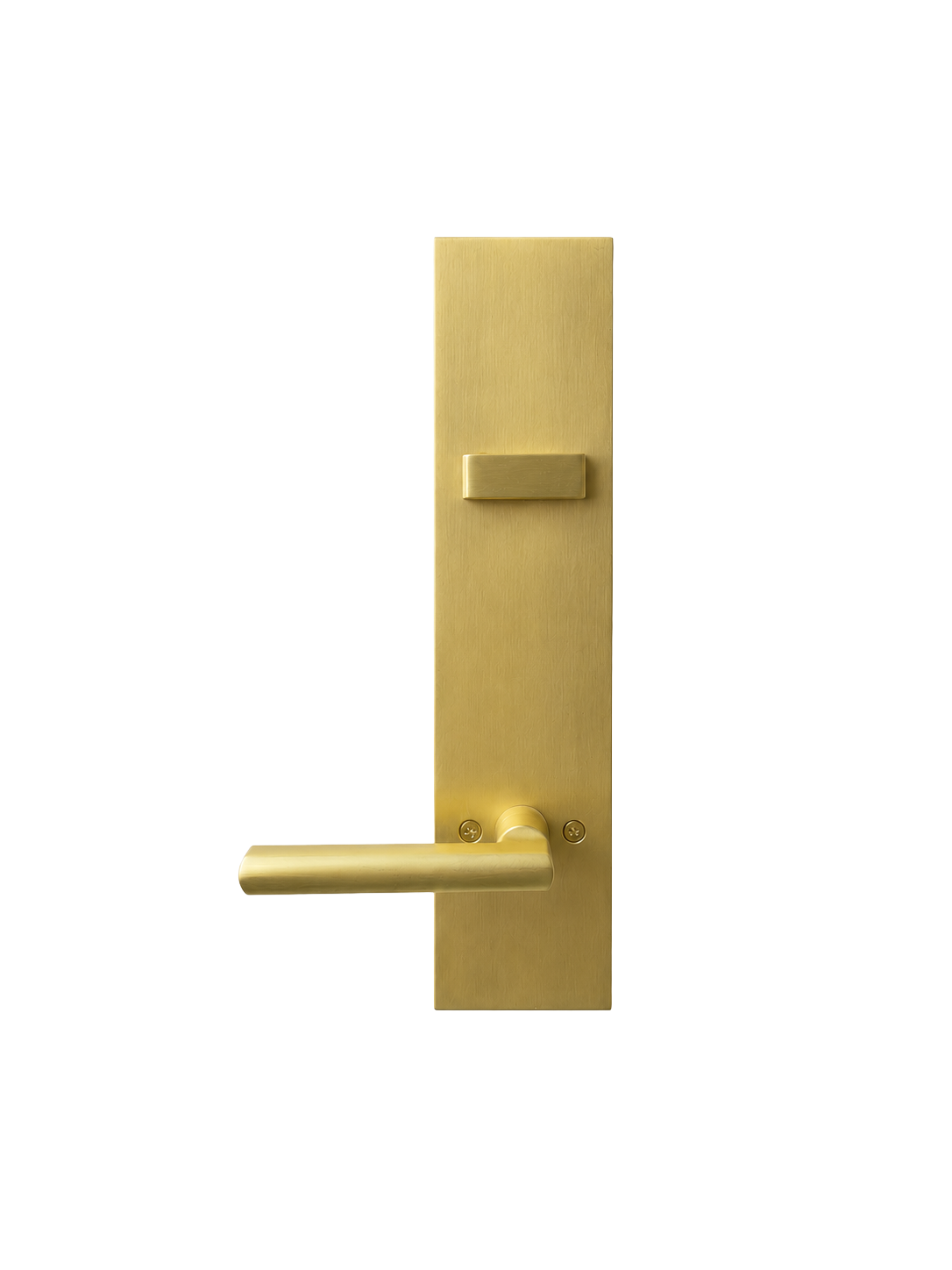 ENTRY DOOR HANDLES - BRUSHED BRASS